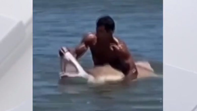 Një burrë u fut në oqean, “rrëmbeu” një peshkaqen dhe e mbajti për nofulla – vetëm për një fotografi!