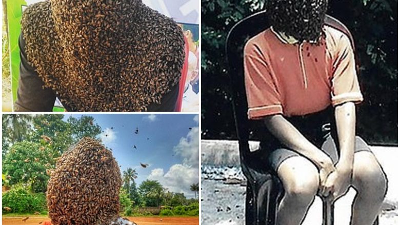 Indiani që i lejon 60 mijë bletët t’i mbulojnë fytyrën, thotë se insektet janë “miqtë e tij më të mirë”
