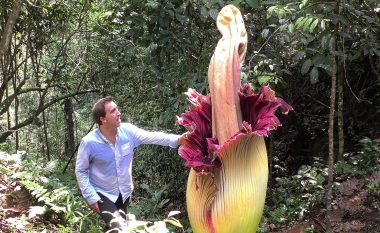 Natyra e magjishme: A e dini cila lule është më e vogël dhe cila më e madhe në botë?
