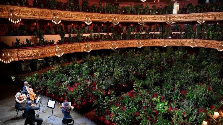 Mijëra bimë mbushën sallën madhështore të operës në Barcelonë – muzikantët shënojnë heqjen e masave kundër COVID-19