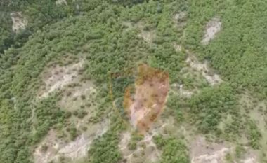 Me dronë, helikopterë e policë nga terreni, zbulohen parcelat e kanabisit në Shqipëri
