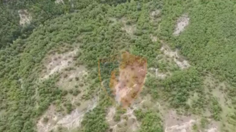 Me dronë, helikopterë e policë nga terreni, zbulohen parcelat e kanabisit në Shqipëri