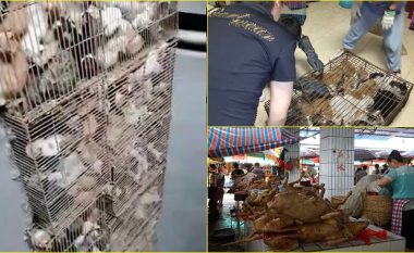 Zbulohen qindra mace në disa kafaze të ndryshkur në Kinë, ‘gati për t’u shërbyer si ushqim’