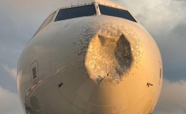 Aeroplani has në zog gjatë fluturimit, ia dëmton “hundën” fluturakes – piloti detyrohet të bëjë ulje emergjente në Nju Jork