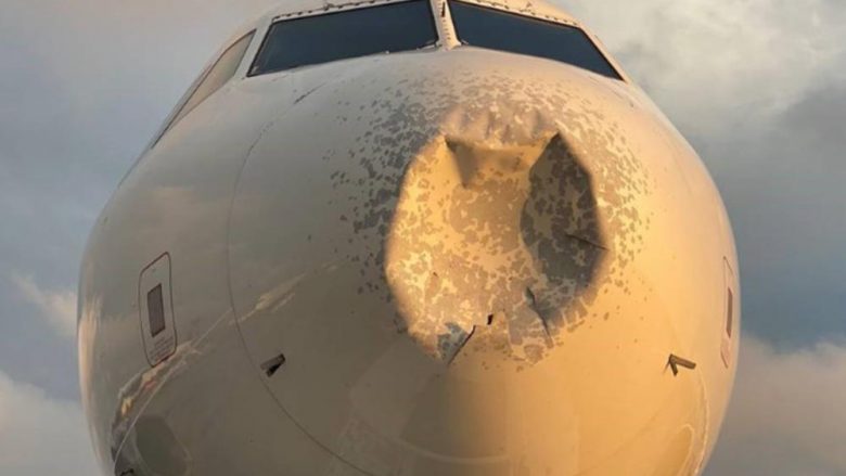 Aeroplani has në zog gjatë fluturimit, ia dëmton “hundën” fluturakes – piloti detyrohet të bëjë ulje emergjente në Nju Jork