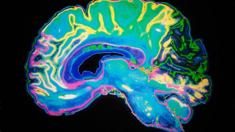 Shkencëtarët paralajmërojnë për një valë potenciale të dëmtimit trunor të lidhur me COVID-19