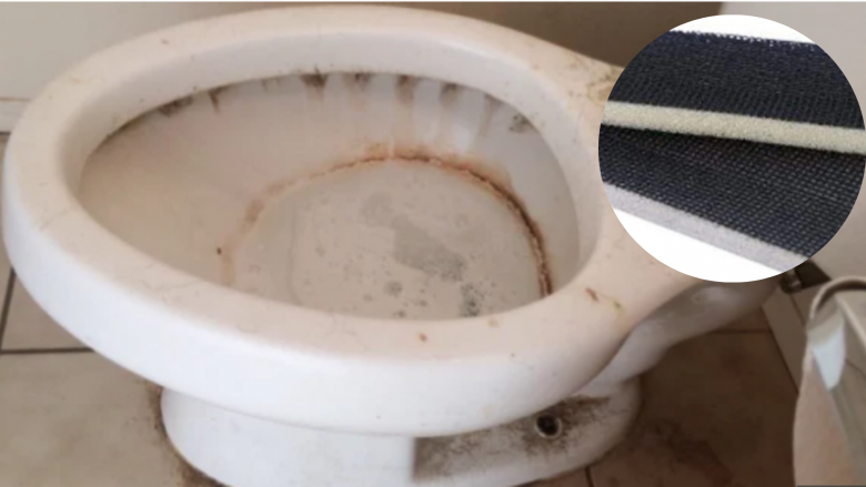 Pastruesja profesionale zbulon hilen për të hequr njollat ​​e ashpra të tualetit