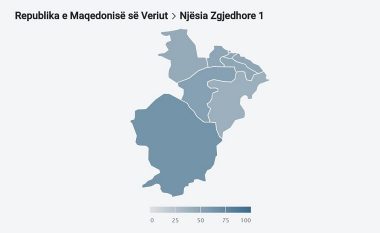 Dalja e qytetarëve në Zonën zgjedhore numër 1, Makedonski Brodi lider