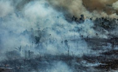 “Mushkëritë” e planetit Tokë po digjen, vetëm brenda një dite regjistrohen mbi njëmijë vatra zjarri në Amazonë 