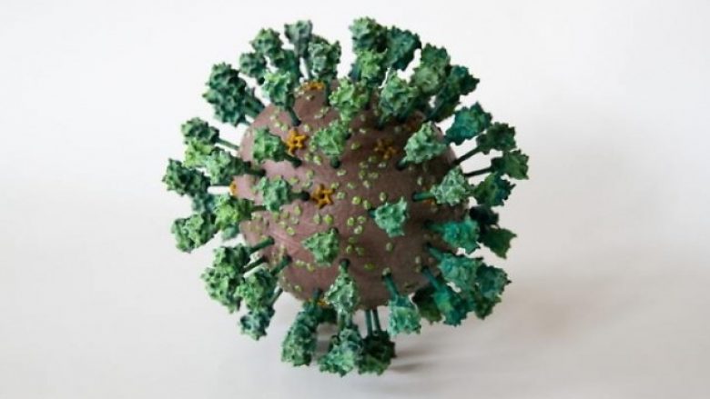 Studiuesit gjermanë zbulojnë imazhin që tregon si duket coronavirusi