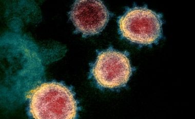 ​Zbulohet pika e dobët e coronavirusit