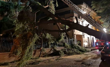 Italia goditet nga një stuhi e fortë – shkatërrohen vreshta, pemë e makina