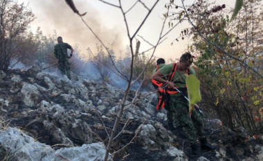 Ministria e Mbrojtjes njofton për situatën e zjarreve në Shqipëri, 10 vatra mbeten ende aktive