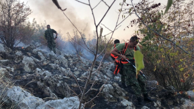 Ministria e Mbrojtjes njofton për situatën e zjarreve në Shqipëri, 10 vatra mbeten ende aktive