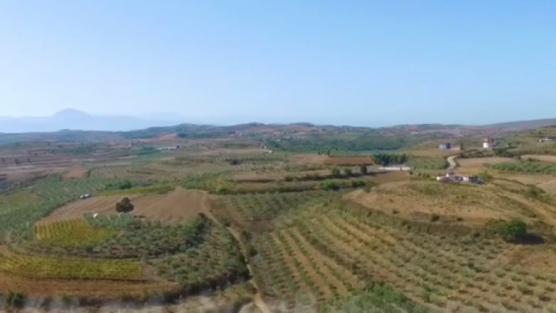Rama me një video nga projektet bujqësore: Shqipëria sot prodhon më shumë