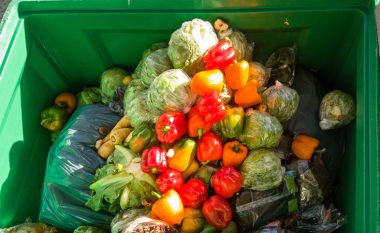 FAO: Duhet të shpejtojmë pakësimin e shpërdorimit të ushqimeve