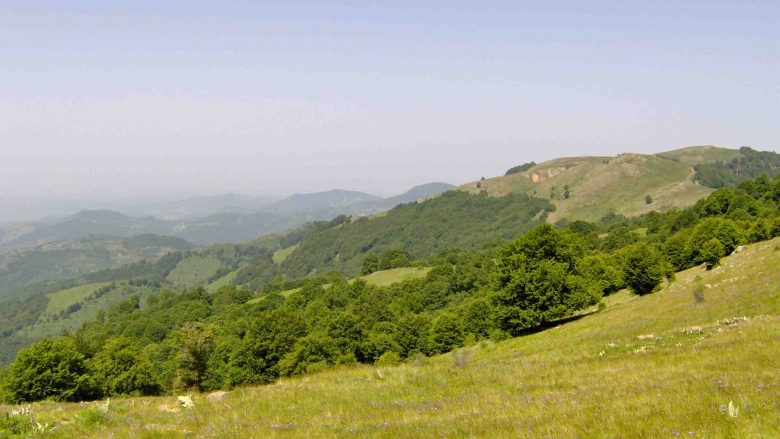 Malet e Osogovës do të shpallen zonë e mbrojtur