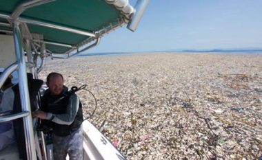 ‘Deti i plastikës’ i zbuluar në Karaibe