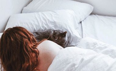 Macet futen në krevat për shkak të pesë arsyeve, njëra do ta brengosë pronarin
