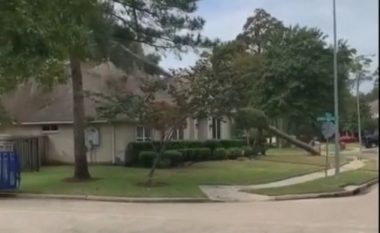 Nuk bëri mirë matjet para se të fillonte prerjen e pemës, përfundoi mbi kulmin e shtëpisë së fqinjit në Teksas