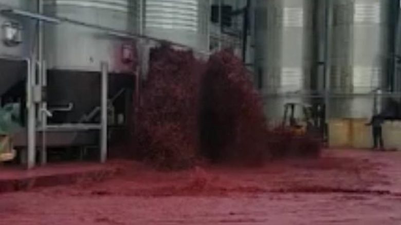 “Cunami”, momenti kur 50 mijë litra verë derdhen nga rezervuari i një verarie në Spanjë