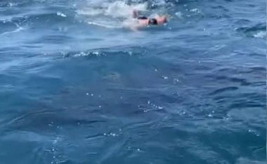 Kërceu nga barka për të notuar me peshkaqen të “vogël”, u pendua menjëherë – e kuptoi se ishte gjigant