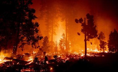 Zjarri po shkatërron gjithçka para vetes, guvernatori i Kalifornisë shpall gjendjen e jashtëzakonshme
