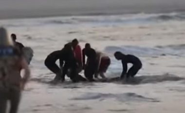 Panik në një plazh në Australi, peshkaqeni sulmon “surfistin” – edhe pse ekipet e shpëtimit e nxjerrin nga uji ishte tepër vonë