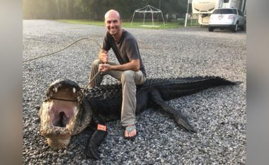 Sikur në filmat “Jurassic Park”, kapet një aligator gjigant në kënetat e Mississippit