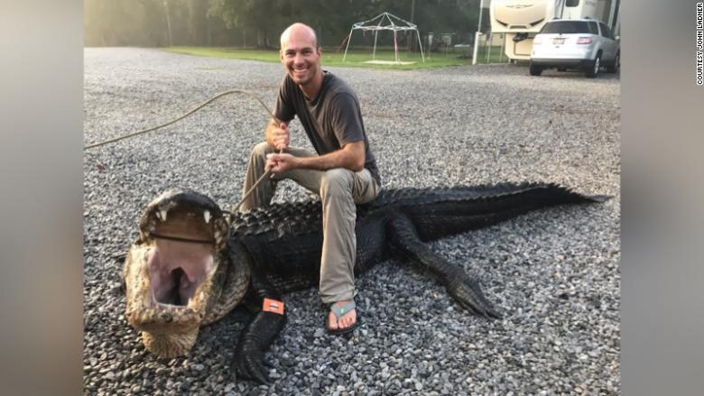 Sikur në filmat “Jurassic Park”, kapet një aligator gjigant në kënetat e Mississippit