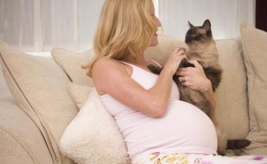 Gjinekologët paralajmërojnë gratë shtatzëna “Qëndroni larg maceve, rrezikoni shëndetin tuaj dhe të foshnjës”