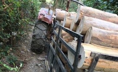Kontrabandë e transport ilegal, policia konfiskon dru në katër raste