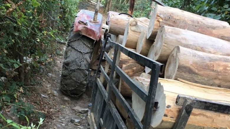 Kontrabandë e transport ilegal, policia konfiskon dru në katër raste