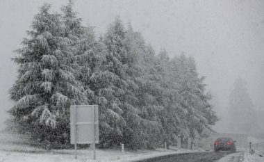Austria, Zvicra dhe Gjermania “befasohen nga reshjet e hershme të borës”