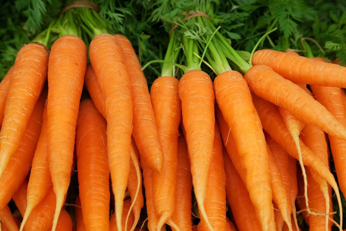 The reason for yellowing of the skin when you eat a lot of carrots