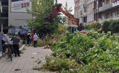 Kusari-Lila reagon për prerjen e drunjve në Gjakovë: Është krim mjedisor dhe pamja e sloganit të zgjedhjeve qendrore në Gjakovë