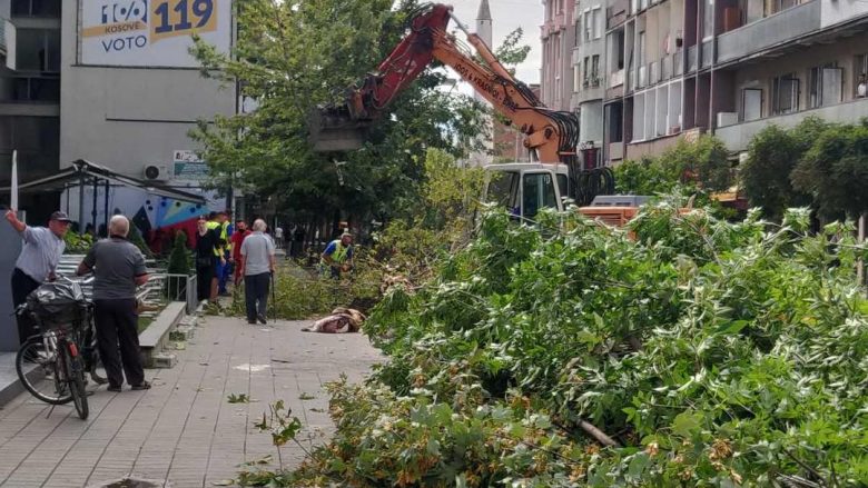 Kusari-Lila reagon për prerjen e drunjve në Gjakovë: Është krim mjedisor dhe pamja e sloganit të zgjedhjeve qendrore në Gjakovë