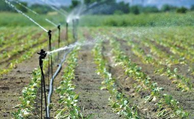 Ministria e Bujqësisë: Së shpejti 10 milionë euro grant nga Banka Botërore për sistemin e ujitjes