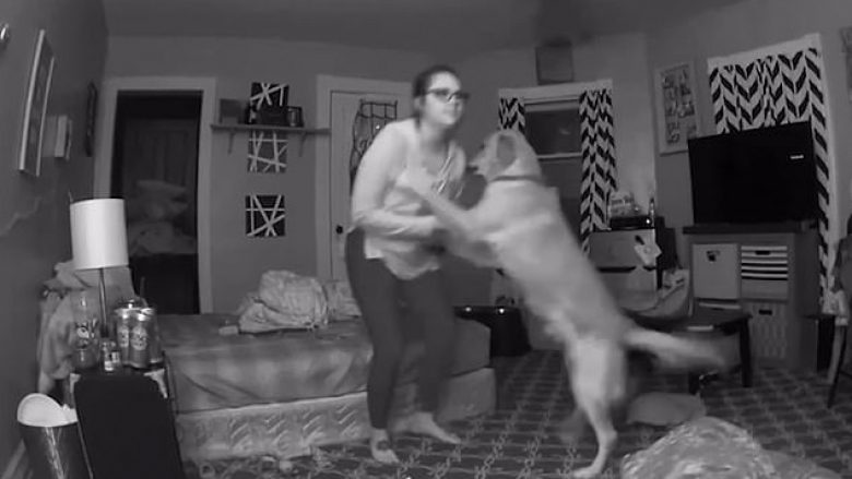Pas një nate me alkool, 22-vjeçarja nga SHBA-të mezi arrinte të qëndronte në këmbë – e ndihmon qeni të shtrihet