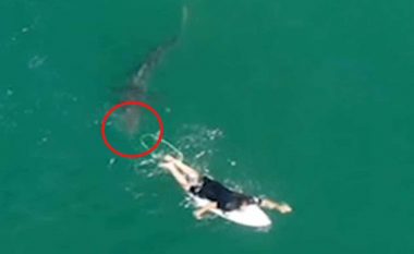 Po bënte “surf” kur nga pas iu afrua peshkaqeni afro tri metra i madh, australiani shpëton pa ndonjë lëndim