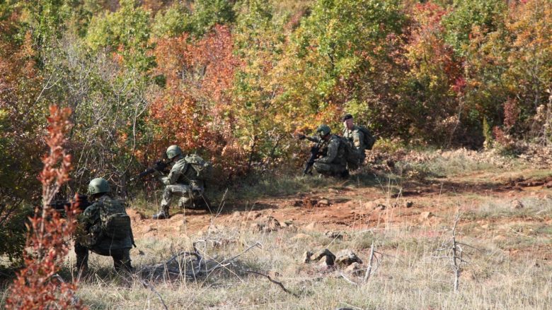 Certifikohen skuadrat e këmbësorisë në detyrat për mbrojtjen territoriale