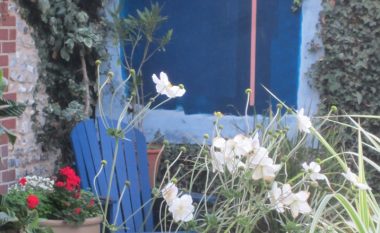 Tri lulet më të bukura të vjeshtës për ballkon apo kopsht: Në të ftohtë dhe pa diell lulëzojnë për mrekulli!