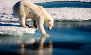Për herë të parë në histori, akulli i detit Arktik nuk është duke ngrirë në muajin tetor