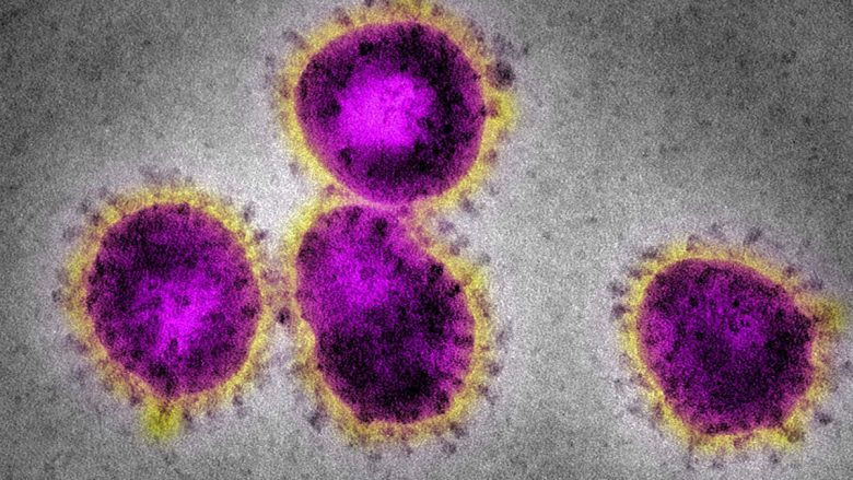 Çfarë i bën viruset të ndizen – tregon mikrobiologu Raka