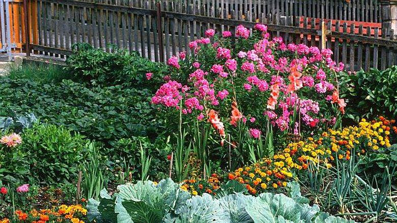 Çfarë mbillet në tetor: Pesë bimë të cilat duhet t’i ketë çdo kopsht
