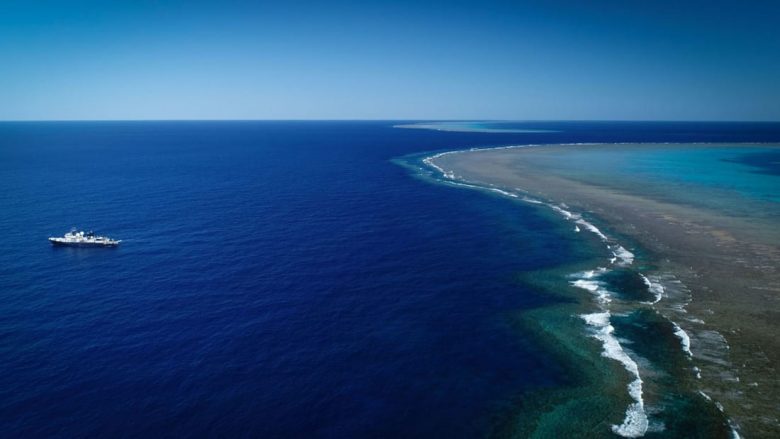 Zbulohet një shkëmb ‘masiv’ koral në Australi: Më i gjatë se Empire State Building dhe Kullat Binjake Petronas