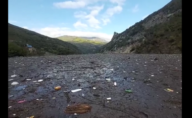 Reshjet e shiut bllokojnë Liqenin e Komanit nga mbeturinat