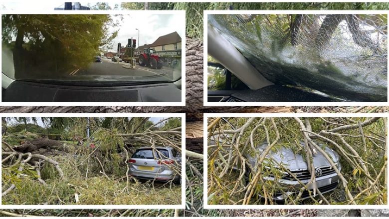 Pema gjigante përfundon mbi veturë, shpëton mrekullisht shoferi britanik – kamera e vendosur brenda filmoi gjithçka