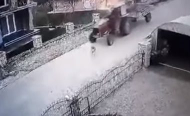 E shtyp qëllimisht me traktor qenin, ngritet padi ndaj shoferit – shokohet opinioni në Bosnje me këtë veprim