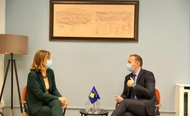 Zemaj kërkon ndalimin e fushatës zgjedhore në Podujevë dhe Mitrovicë të Veriut